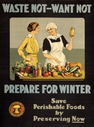 Waste not want not WWI poster